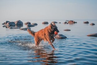 Смешные истории