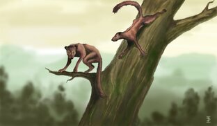 Антропология