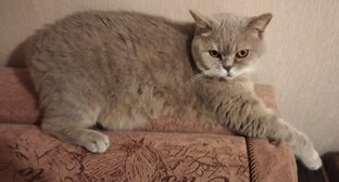 Наша красотка, Соня.