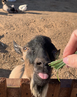 Полезная информация