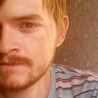 Дзен Александр Sceef статистика