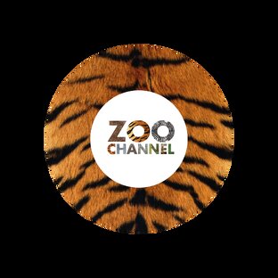 Логотип канала ZOO CHANNEL