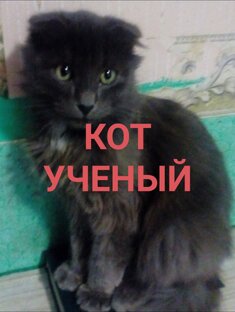 Дзен немного всего статистика