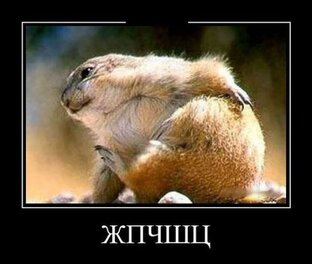 Статистика Дзен Федор фон Сумкин