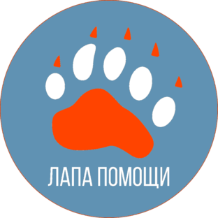 Дзен Лапа помощи статистика