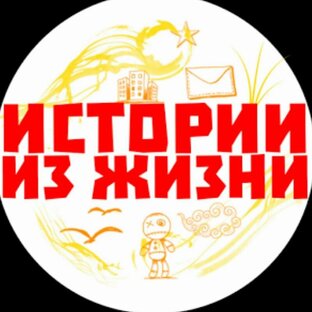 Дзен My life stories статистика