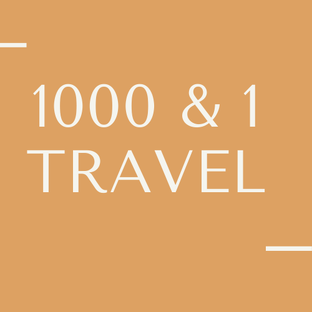 Дзен 1000 & 1 travel статистика