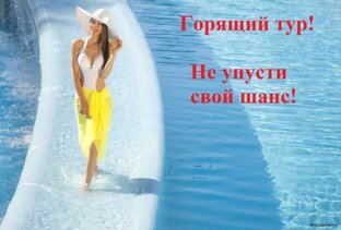 Дзен SeahorseLUCKY статистика