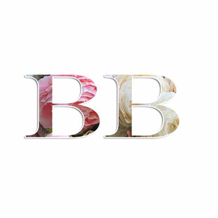 Дзен Beauty Book статистика