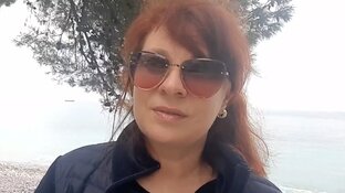 Дзен Анжела Дмитришина статистика