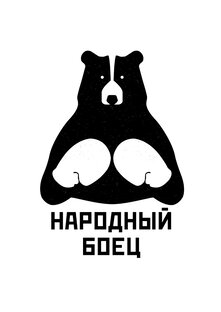 Дзен "Народный боец" статистика