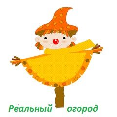 Дзен Реальный огород статистика