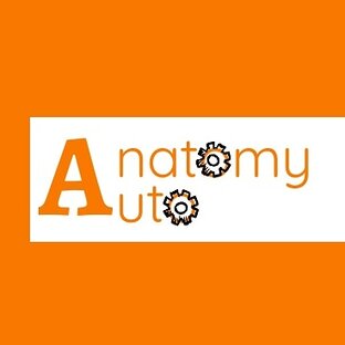 Дзен Anatomy Auto статистика