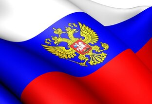 Дзен политический эксперт статистика