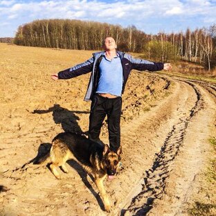 Дзен PlastOkoshki.ru статистика