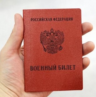Статистика Дзен Отсрочки.РУ - помощь призывникам
