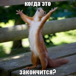 Дзен Когда это кончится? статистика