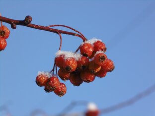 Дзен ВОКРУГ ЛЮБВИ статистика