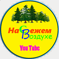 Статистика Дзен На свежем воздухе