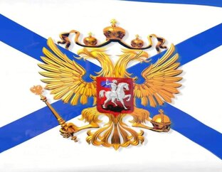 Дзен Флот РФ статистика