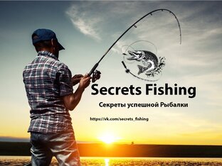 Статистика яндекс дзен Секреты успешной рыбалки
