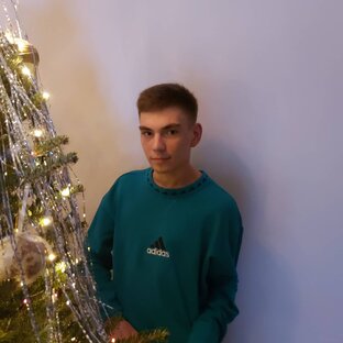 Статистика Дзен Никита Захаров