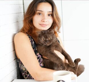 Дзен Alina FooDee статистика