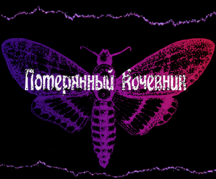 Дзен Потерянный кочевник статистика