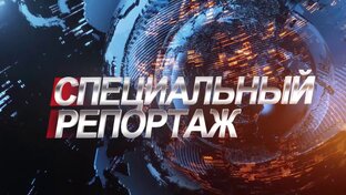 Дзен mir novostey статистика
