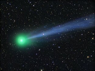 Дзен Вольная Олли статистика