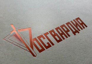 Статистика Дзен Росгвардия Восточный округ