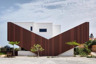 Дзен archdailylife статистика