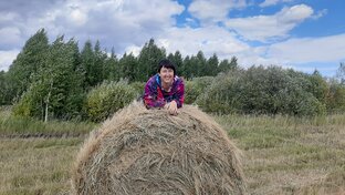 Статистика Дзен Такая какая есть.
