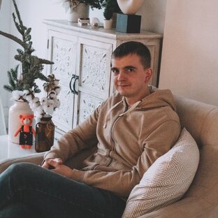 Дзен Домовозик - служба переездов. статистика