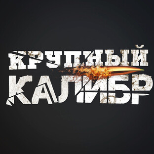Статистика Дзен Крупный Калибр