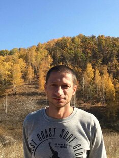 Статистика Дзен Вячеслав Удачник
