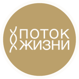 Жизнь в потоке что это