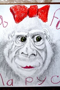 Дзен Kosta Civic статистика