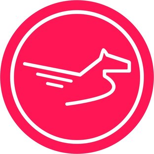 Статистика Дзен Тулпар 