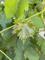 Неизгладимый след оставил в истории. Карандашный след на бумаге. Стих след мартынов. Неизгладимый след оставил в истории. Л.