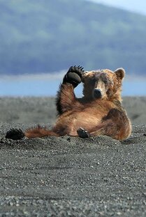 Логотип канала Не может быть!