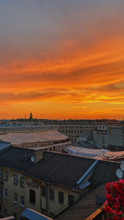 Дзен Любовь к звездам статистика