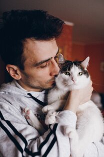 Статистика Дзен MattTheCat