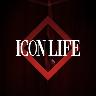 Статистика Дзен Icon Life