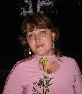 Статистика Дзен Всем обо всём 