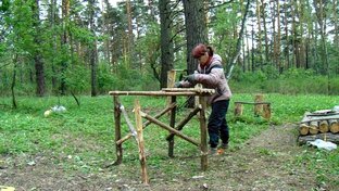 Статистика Дзен Самоделкина в лесу.