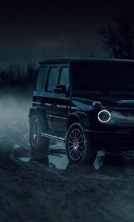 Дзен Akim статистика