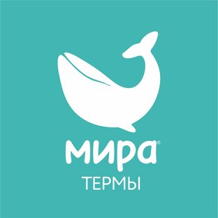 Статистика Дзен Мира Термы