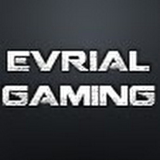 Статистика Дзен Evrial