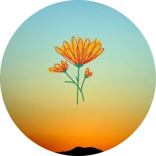 Логотип канала 🌷Ваш Цветок